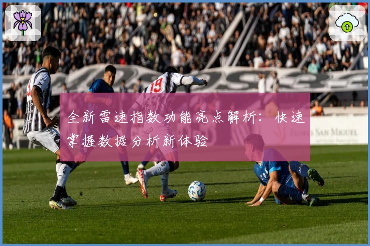 全新雷速指数功能亮点解析：快速掌握数据分析新体验
